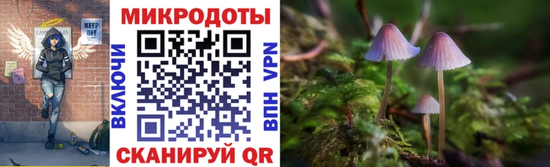 Псилоцибиновые грибы Cubensis  Горбатов 